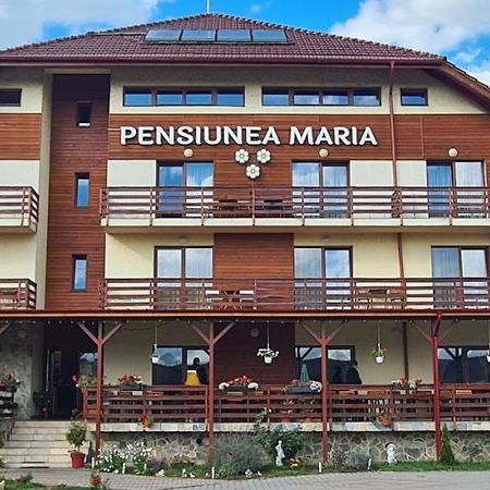 Pensiunea Maria Gilau Luaran gambar