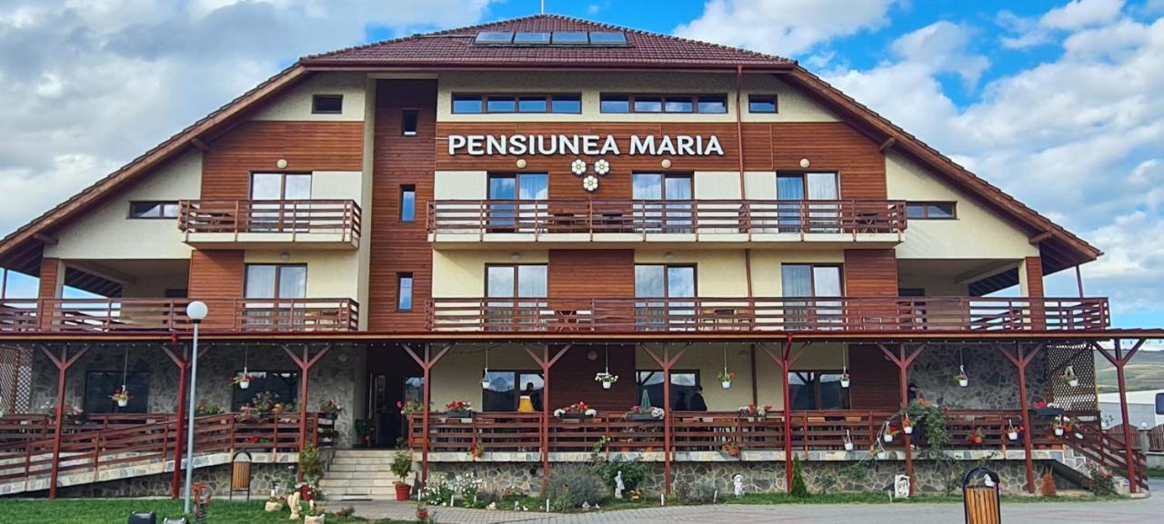 Pensiunea Maria Gilau Luaran gambar